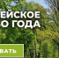 Стартовал международный конкурс «Европейское дерево года – 2022» - Порецкие вести