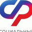 Вебинар для страхователей «Об актуальных вопросах пенсионного и социального страхования» - Порецкий район